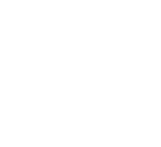 More IQ Logo